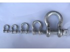 Shackle